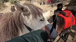 Best Britishers Place In India Himachal Pradesh