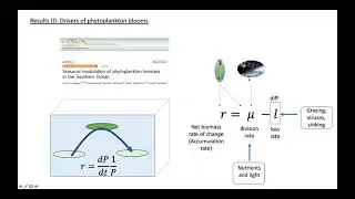 Lionel Arteaga: Phytoplankton Blooms and Productivity Inferred from BGC-Argo Bio-optical Sensors