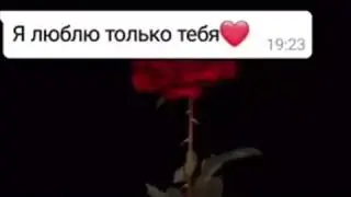 Когда читаешь переписки с бывшей
