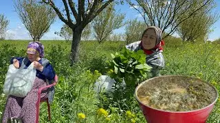 Sirken otundan atadan dededen kalma muhteşem şifalı yemek❗️Küçük bahçemde yeşillik topladım 