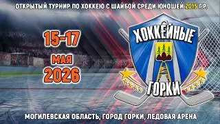 15.05.2026. ХГ. 2015. Сестрорецк-2 - Goodgoal