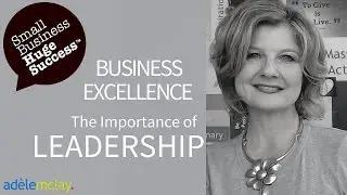 Business Excellence - The Importance of Leadership