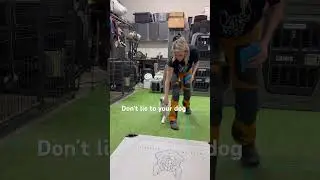 Don’t lie to your dog 