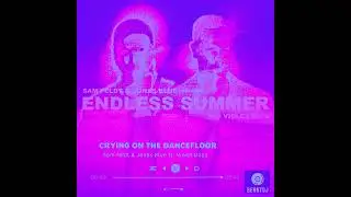 Sam Feldt & Jonas Blue- Crying on the dancefloor (BennyDj's remix)