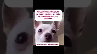 🤣🤣🤣