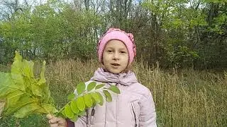 Жаворонкова Анна Алексеевна читает стихотворение «Не будем спешить, подождите немножко...»