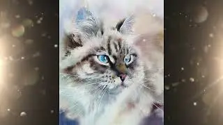 Почему некрасивых не любят