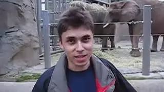 Me at the zoo (8K, 7680x4320) upscaled