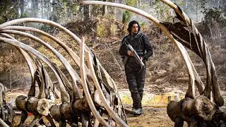 On a quest in a STRANGE PLANET, he has to escape to a habitable planet. - Movies Recap