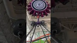 American Dream: Wanna Go For A Ride?