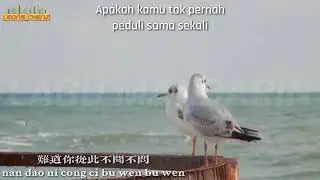 舍不得让你走