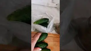 Малосольные огурчики в пакете.