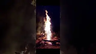 Купала 2023