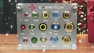 Jingle Bells 🎶 | Anti-Vandal Switches - E-Switch