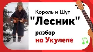 Укулеле. Король и Шут 
