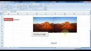 Microsoft Excel How To Display Image In Excel Using Vba