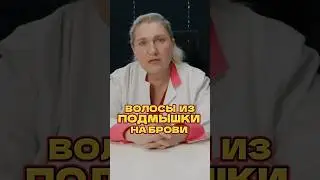 Откуда берут волосы для пересадки 