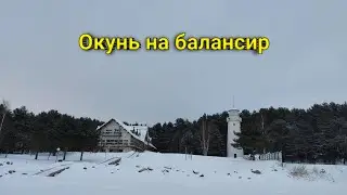 Жор окуня на Рыбинском водохранилище!!!