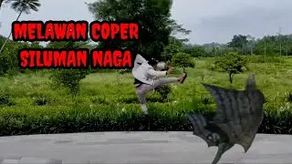 Parodi gentabuana misteri illahi misteri dua dunia melawan copet naga terbang