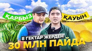 1 машинадан 500 000тг пайда. Қарбыз және қауын егу кәсібі