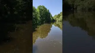 Большой Андреевский пруд #shorts