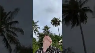 Милохины ПОМИРИЛИСЬ!!! 🥰