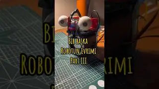 Bir başka robotun evrimi part III 