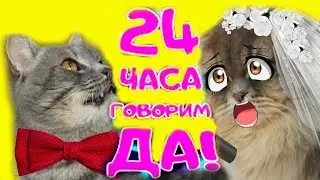 24 часа говорю только ДА! Кот Макс и Кошка Матильда а также говорящая собака Алиса