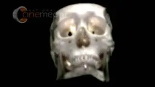 OUR BODY: The Universe Within at The Brogan Museum