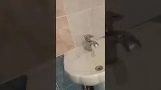 WhatsApp Video 2022 12 28 at 00 49 34