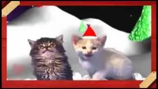BestMovie EverydayILoveYou #PushAwardsLizQuens It Might Be You Cats Version