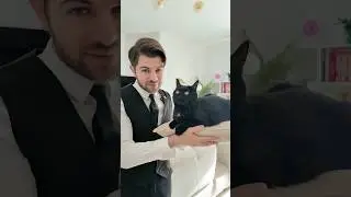 Il tuo gatto ti ha addomesticato?🐱 