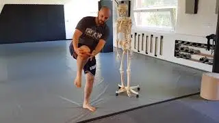 Knee Strike: Optimierungspotenzial, auch für viele Trainer