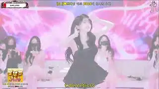 Korean live | Pandalive | Jinricp Live Series 2026.06.30
