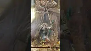 Greatsword + Staff vs Morgott in 60 secs