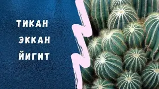 Dilkash uz.Ибратли хикоя ва ривоятлар.ибратли хикоя ва ривоятлар saodat asri