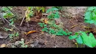 #krishi #nepal   The Future Of Agriculture - Amazing Agriculture Technology