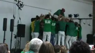 Novatos