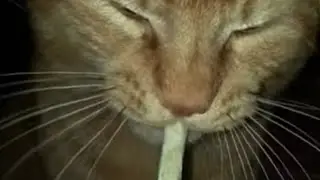 Крутое видео🥶