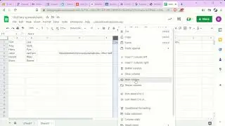 Spreadsheet 2 (INF2080) 2.1.3: Hide and Unhide Rows and Columns