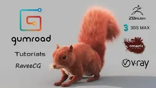 Gumroad Squirrel Tutorial of 14 Videos in 4k Format
