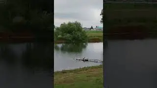 22 августа 2024 г.
