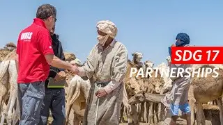 Partnerships | Mine Action Promotes SDGs