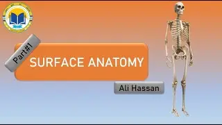 Surface Anatomy|| For Beginners || Part#1||  Pharmacy(Technician) ||  Exams MCQs || By Ali Hassan
