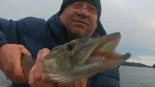 Поклёвка щуки