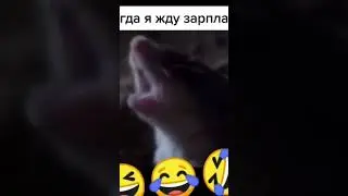 КОГДА ЖДЕШЬ ЗАРПЛАТУ.....