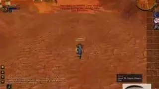 world of warcraft Rogue lvl 70 pvp        private server