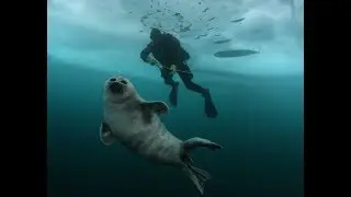 Baikal Dive Center 