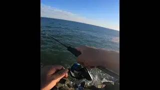 Mi primer PEZ con este FAMOSO SEÑUELO ☺️#fishing #pesca #huelva
