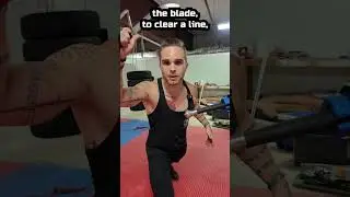 You SHOULD Attack the Blade?! 